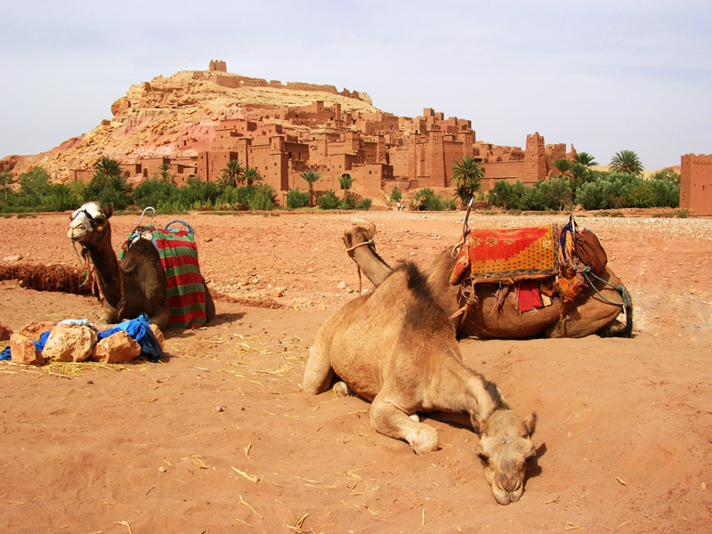Excursion Ouarzazate et Ait ben Haddou depart de Marrakech