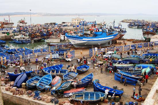 Excursion Essaouira Mogador depart de Marrakech