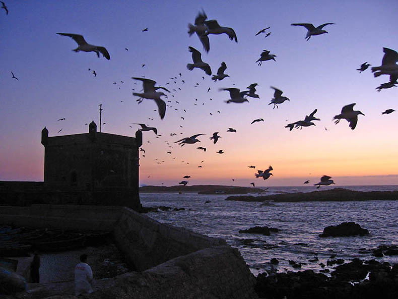 Excursion Essaouira Mogador depart de Marrakech