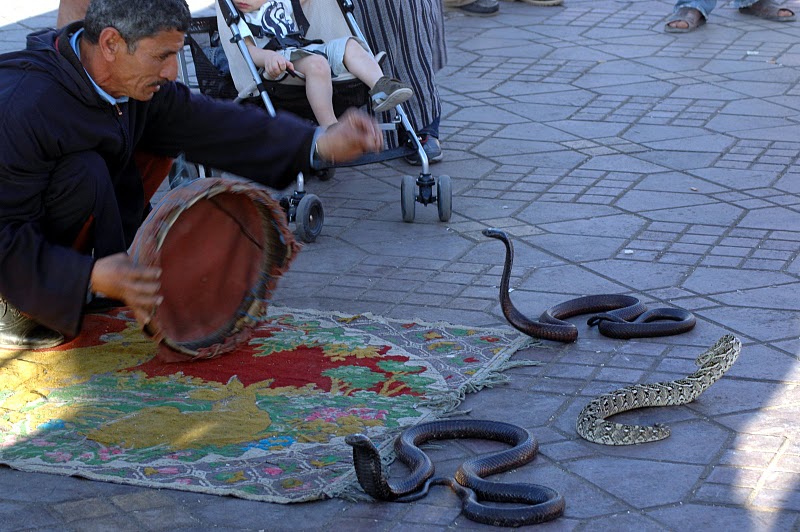 Excursion Visite Guidée De La Medina De Marrakech